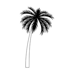 palm icon image, flat design