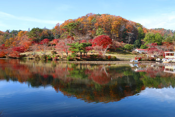 モミジ・秋の蛇の鼻遊楽園（福島県・本宮市）