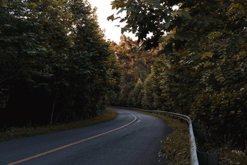 Fototapeta premium Roads