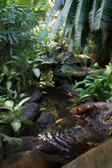 waterfall in the forest