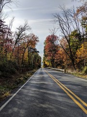 road in autumn