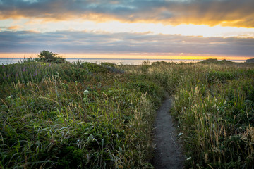 Gorgeous blazing sunset over coastal hiking trail. Evening stroll through peaceful meadow.