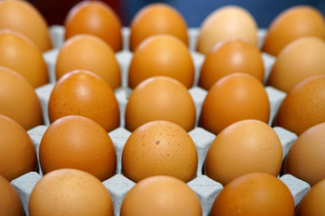 Cartons of fresh free-range brown organic eggs