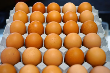 Cartons of fresh free-range brown organic eggs