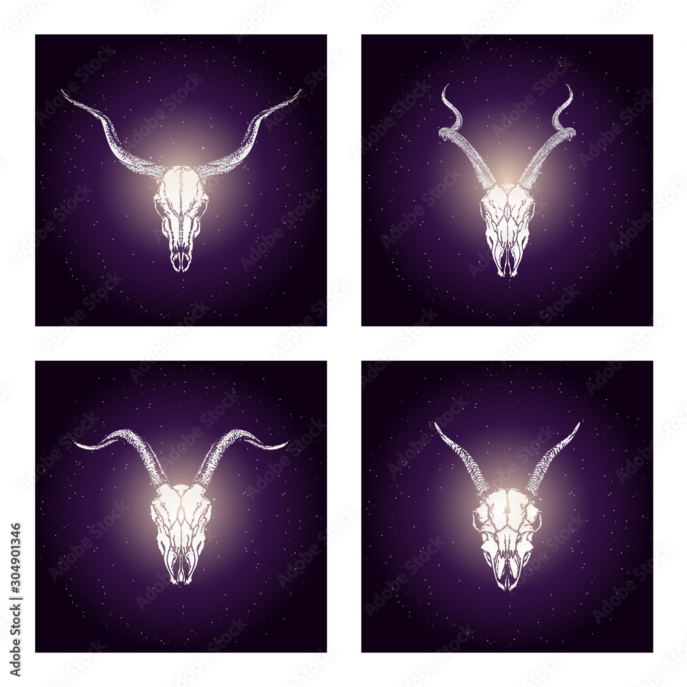 Wall mural vector set of four illustrations with hand drawn skulls antelopes and goats on purple abstract backg