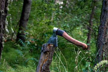 an axe stuck in an old tree stump in a wild forest during a hike