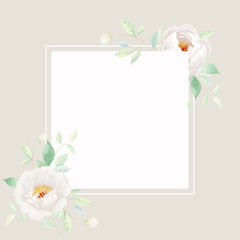 White peony.Romantic design for natural cosmetics, perfume, women products. Can be used as greeting card or wedding invitation