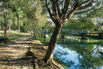 Obraz na płótnie Canvas Wooden bridge walkway in park , Green landscape Northern Thailand.
