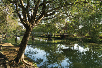 Fototapeta na wymiar Wooden bridge walkway in park , Green landscape Northern Thailand.