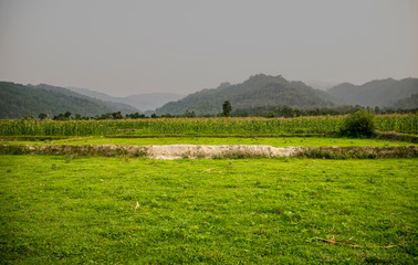 rural landscape with green field and blue sky