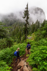 Obraz premium Adventurous Girl is hiking in beautiful green woods in the mountains during a cloudy summer morning. Taken on Crown Mountain, North Vancouver, BC, Canada.