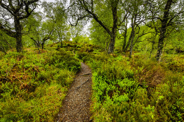 Beautiful scenic landscape of amazing Scotland nature and mountain trail road.