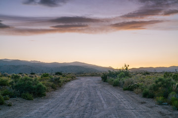 Fototapeta na wymiar Desert scenic View - Road