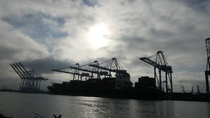 Fototapeta na wymiar cranes in container dock harbor