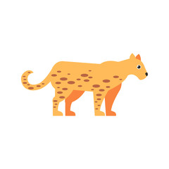 Основные RGB