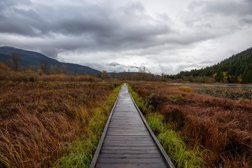 Pemberton, British Columbia, Canada. Beautiful view of a wooden path at One Mile Lake Park during Autumn Season.