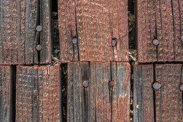 Background from old wooden boards with iron rusty nails.