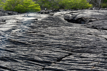 Galapagos Islands volcano lava