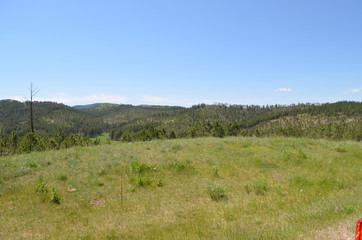 Obraz premium Late Spring in South Dakota: Tree-Dotted Black Hills