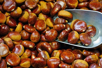 Fresh chestnuts in the shell at a farmers market