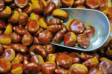 Fresh chestnuts in the shell at a farmers market