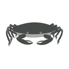 Grey crab. Marine life. Vector illustration.