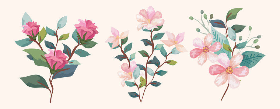 set of flowers with branches and leafs vector illustration design