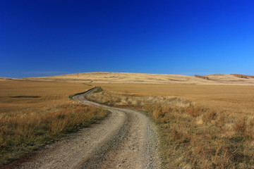 Autumn road in the steppe