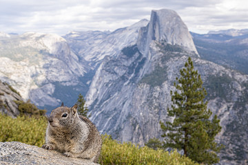 Yosemite