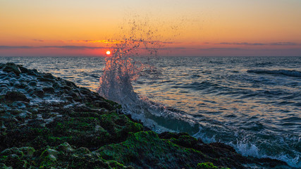 Fototapety na wymiar - Fototapeta24.pl