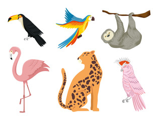 set of group animals exotics vector illustration design
