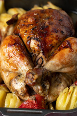 Spicy roasted baked chicken with potatoes.  Festive bird baked with vegetables on the table