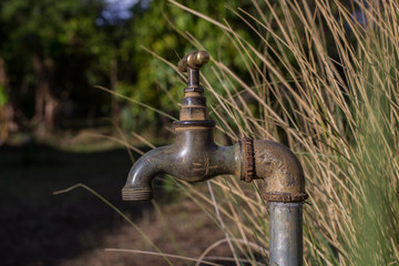 water tap in garden