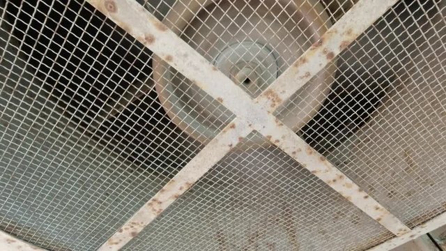 Cooling fan of the heat exchanger unit