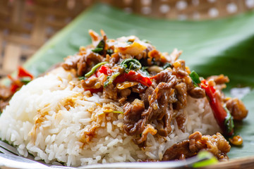 Stir fried basil leaf beef with rice and put Fried egg.