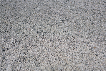 Sand floor background in the wild