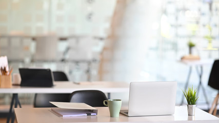 Contemporary business workspace with laptop, document file, plant and coffee mug on white able.