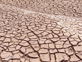Ground is cracked cause by water in the dam reduced.Represent arid and stave.Soil need water for create agricultural products.