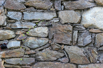 Wet wall made of natural rocks covered with several bines of climbing plants