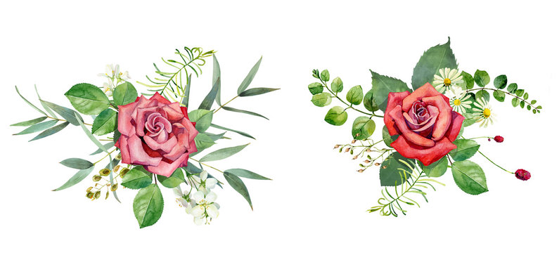 Two watercolor red roses on a white background