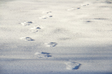 Human footprints on pure white snow in winter