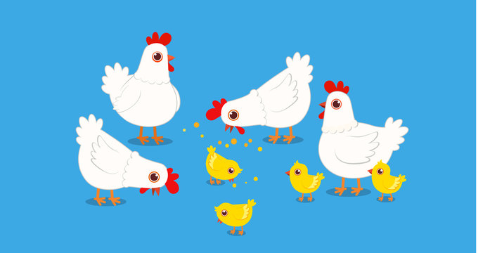 happy cute chicken farm poultry on village