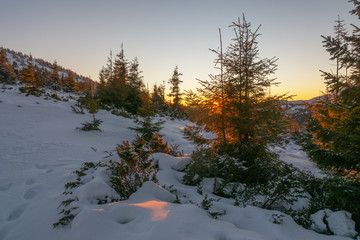 Fototapeta na wymiar Traveling tourists on the snowy winter mountain ranges of the Ukrainian Carpathians with beautiful views of the evening peaks.