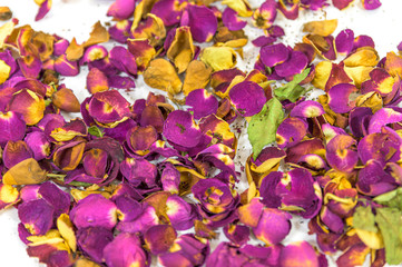 A heap of wilted and dry, red pink and yellow rose petals