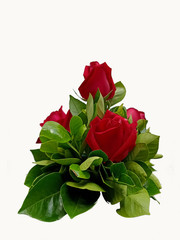 Bouquet of red roses and green leaves on a white background