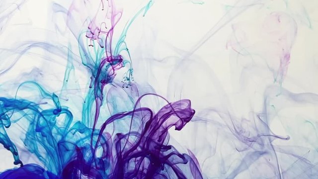 Amazing mix of blue and violet watercolor ink on a white background. Smooth slow motion of paints in water. Abstract ink background.