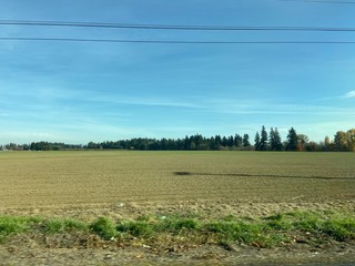 Obraz premium rural landscape with field and blue sky