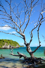 baie paradisiaque ile de pins