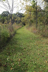 Nature Hike in the Woods