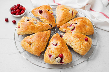 Scones with fresh cranberry and pecan nuts on gray stone background. 